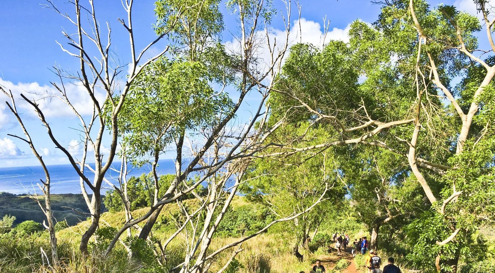 Mount Lam Lam